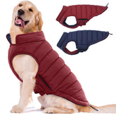 LeLePet reversible dog coat front view shows waterproof protection for winter walks.