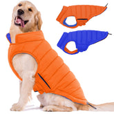 LeLePet reversible dog coat waterproof protects during rainy walks with two stylish sides