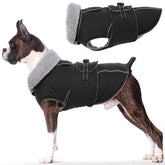 Lelepet Warm Dog Coat front view showing snug fit and windproof exterior