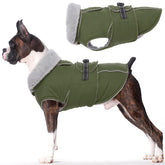 LeLePet warm dog coat with reflective vest improves nighttime visibility