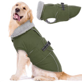 LeLePet warm dog coat waterproof fabric keeps dogs cozy in wind and rain.