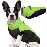 Lelepet warm dog coat with harness keeps your dog warm in snow