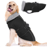 LeLePet Warm Dog Coat front view demonstrates a snug, windproof fit for chilly walks.