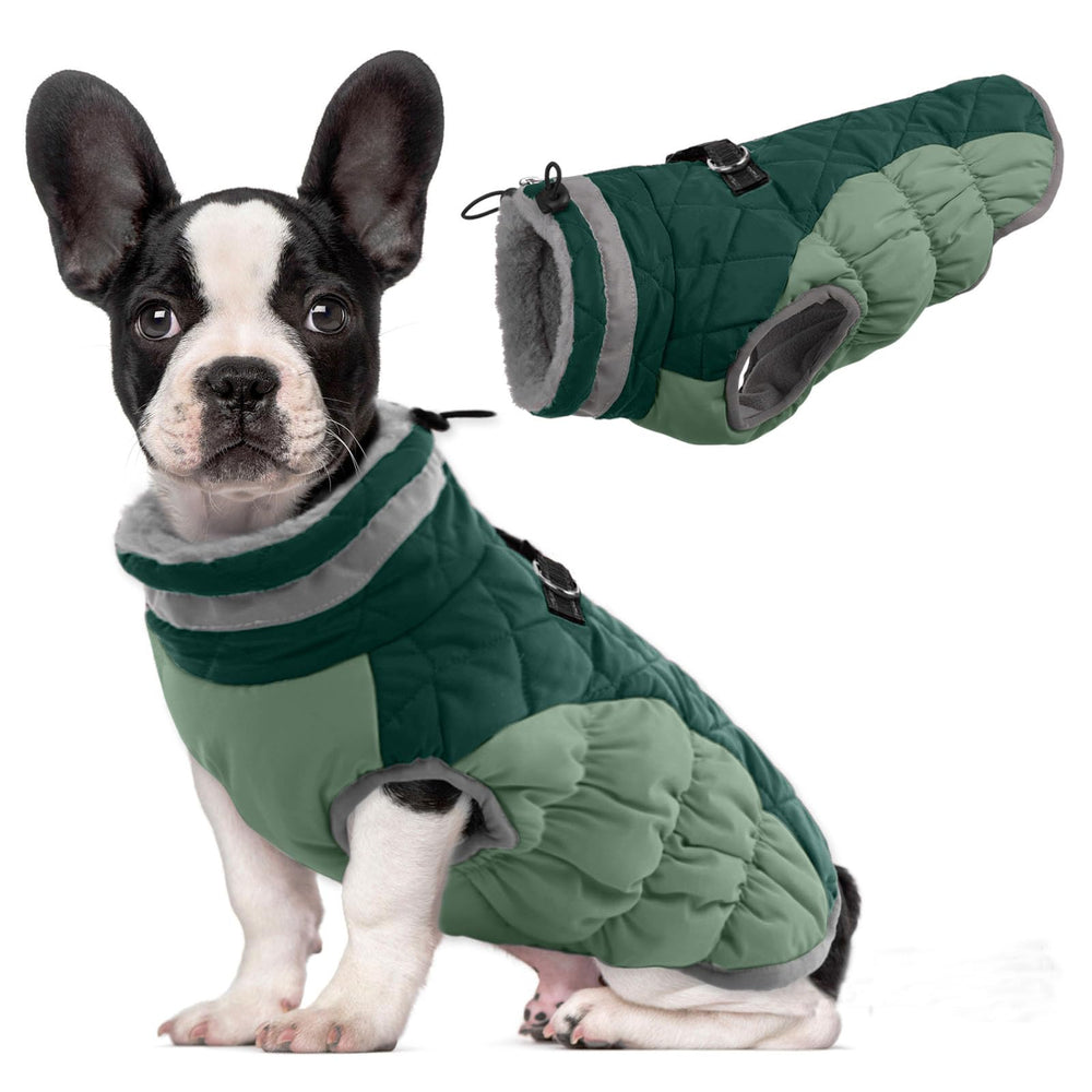 LeLePet warm dog winter coat front view, cozy protection in cold walks