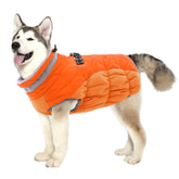 LeLePet warm dog winter coat close-up on hood shows cozy fleece lining for chilly days