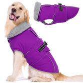 Lelepet warm dog winter coat closeup shows cozy fleece warmth for chilly days.