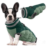LeLePet warm dog winter coat teal green on dog provides cold-weather warmth