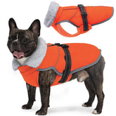 LeLePet warm dog winter coat on snowy sidewalk, showcasing waterproof outer layer for dry, comfortable walks.