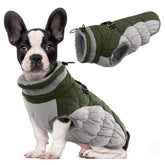 LeLePet waterproof-fleece-lining coat keeps dogs warm during rainy walks.