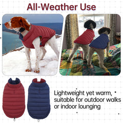 LeLePet windproof dog coat showing lightweight warmth for winter outings