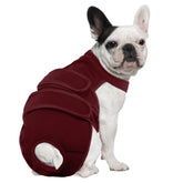 Leletail dog diaper secure fit belly wrap during active play.