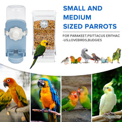 Lemtrflo crystal-clear acrylic feeder allows quick level checks and tidy refills.