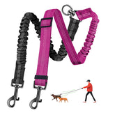 LEOSASA double dog leash with 360° swivel clip for tangle-free walks with two dogs