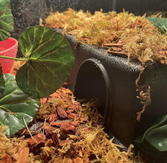 Leoterra snake hide top-seal humidity design inside shelter