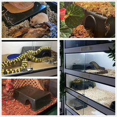 Leoterra XL snake hide entrance dimensions highlight easy access for snakes.