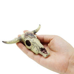 Leoyoubei cattle skull aquarium decoration as a natural hiding spot for small fish
