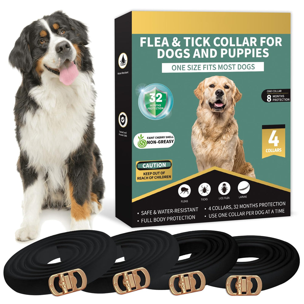 Lerqua dog flea collar four-pack packaging for quick setup and protection.
