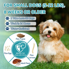Lerqua flea and tick drops are water-resistant for outdoor activities
