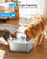 Lesotc 3 gallon large dog water fountain front view for multi-dog households