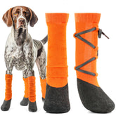 Lesotc dog shoes XL with adjustable straps for secure winter fit during walks.