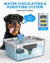 Lesotc quiet-pump operation keeps the home peaceful while pets drink.