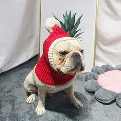 Less bad Lifeunion warm knit fabric keeps pets comfortable on chilly walks