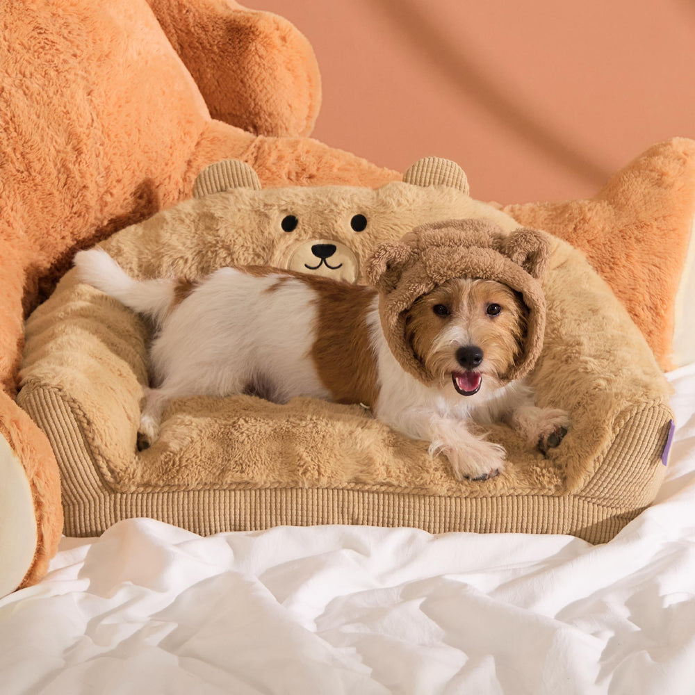 LE SURE Cat Bed bear design close-up with plush faux fur for cozy naps.