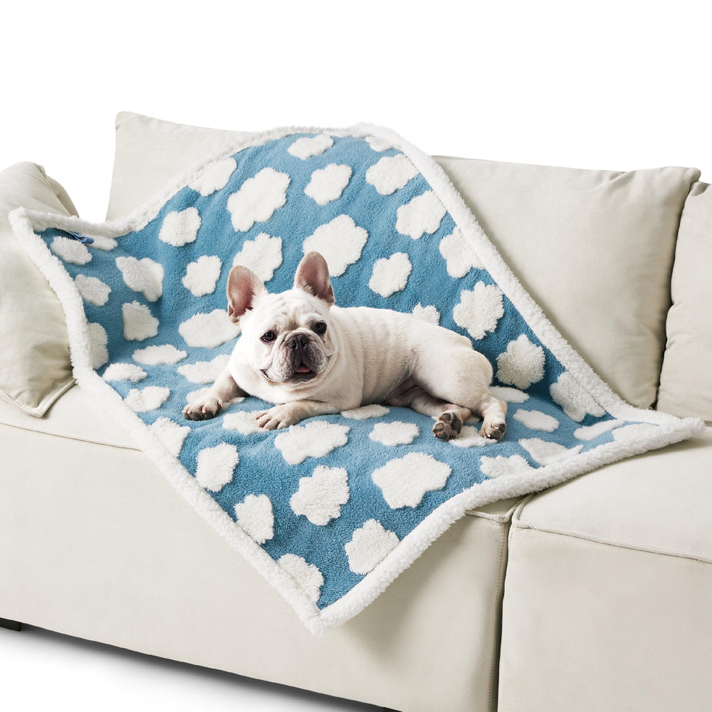 LE SURE waterproof dog blanket blue cloud pattern keeps pets cozy and furniture protected.