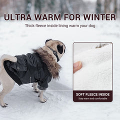 LESYPET ultra-warm fur collar adds neck warmth for winter strolls