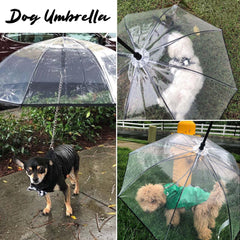 LESYPET small dog umbrella open over the dog, weatherproofing your outdoor strolls