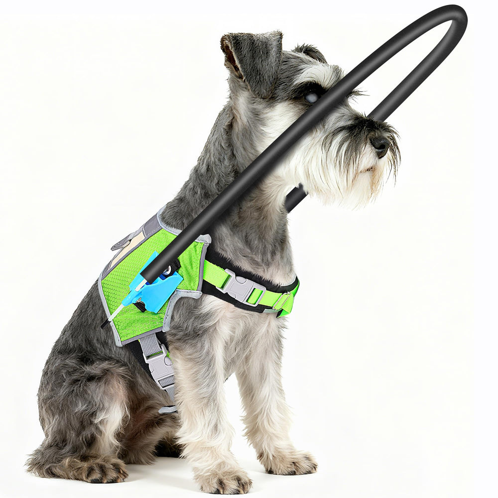 LetPetRun Halo Harness shows nose and chest measurement for precise fit.