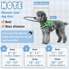 LetPetRun Halo Harness features reflective straps for safer night visibility.