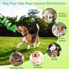 Letsmeet interactive dog toy bonding play demonstrates shared fun between you and your pet