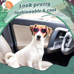 Lewondr adjustable-strap dog eyewear secures a comfortable, secure fit during play.