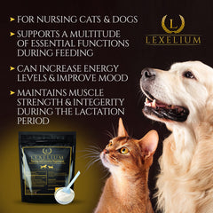 Lexelium nursing supplement newborn development aids puppies and kittens