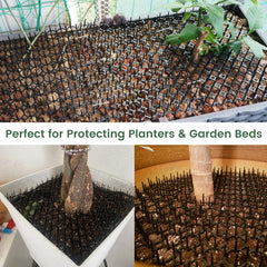 Ley's cat deterrent mat around plants keeps cats from digging in pots.