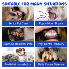 LHQR dog dental powder pack highlights two months supply for ongoing care