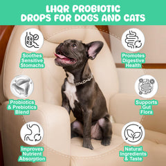 LHQR Liquid Probiotics bottle-dose-dispense supports convenient dosing for dogs and cats.