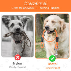Libbipaw Chew Proof Leash Extender 2ft length highlights added reach for controlled roaming