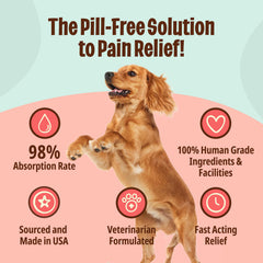 Licks Pill Free dog health supplies—reliable liquid support in a convenient gel format