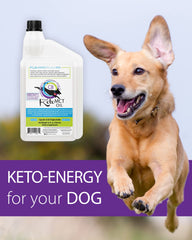 LifeSense C8 MCT Oil for Dogs pour demonstrates easy dosing for keto-friendly pet nutrition