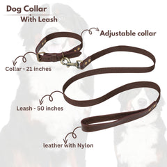 Light & Pro leash clip close-up shows secure connection to the collar.