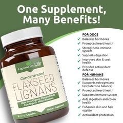 Lignans For Life dog with bowl — flaxseed lignans support canine vitality and daily wellness.