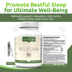 Lignans For Life melatonin dog-use image shows pet-friendly daily routine.