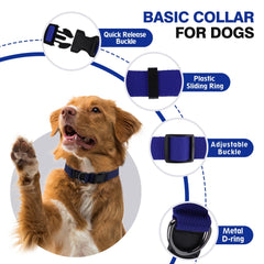 Likesing collar with D-ring leash attachment during daily walks