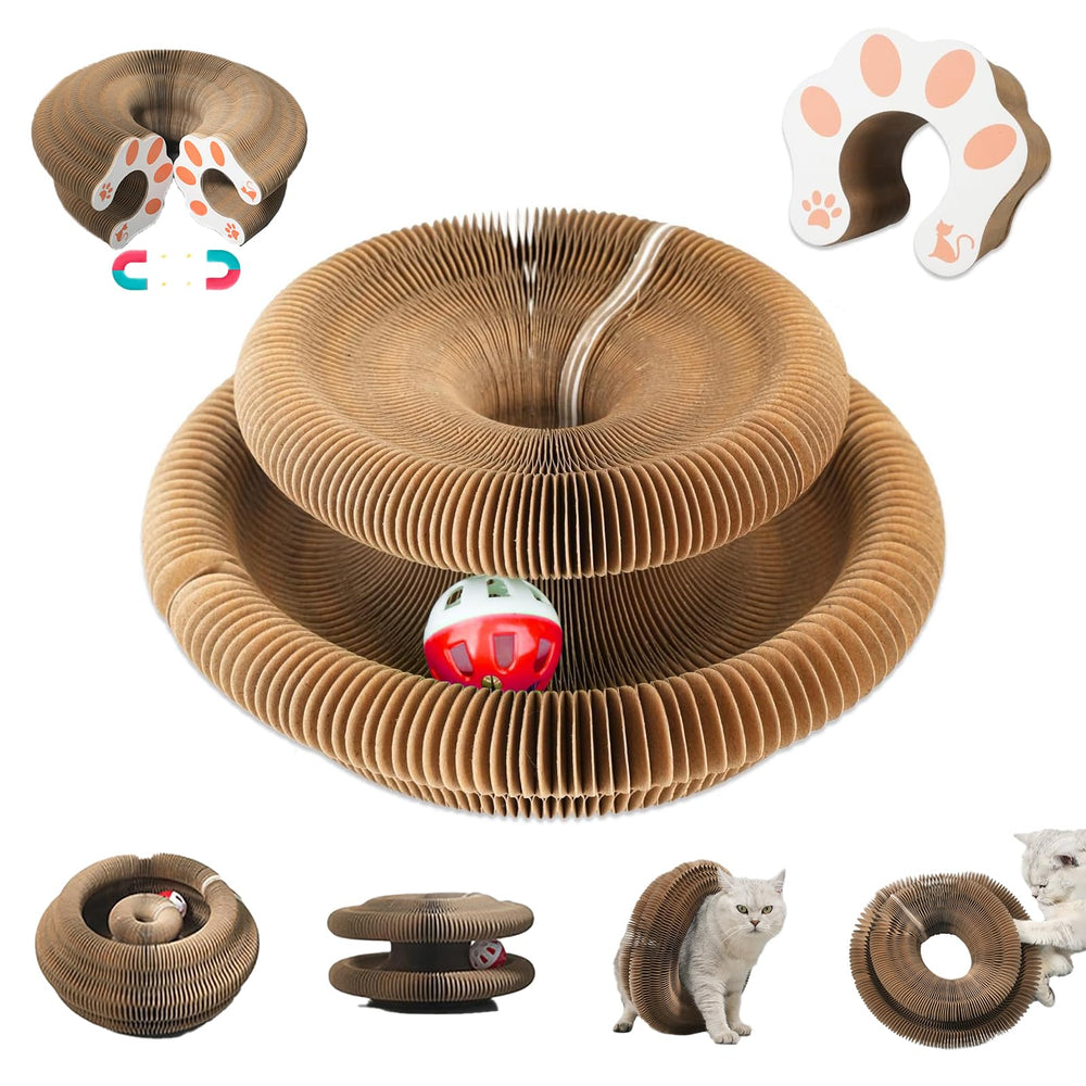 liluwushe Kitty Kurlz magic organ toy demonstrates interactive play