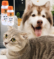 Classic's Lime Sulfur Dip being applied to a dog's coat.