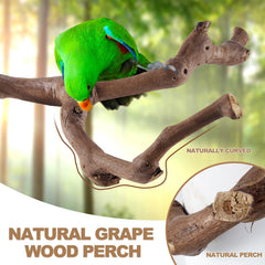 LIMIO parakeet perch provides ergonomic grip for active play