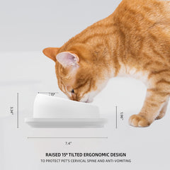 Linshanmin whisker-friendly bowl highlights shallow design to reduce whisker fatigue during meals.