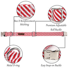 Lionet Paws handmade collar with metal buckle offering durable everyday comfort.